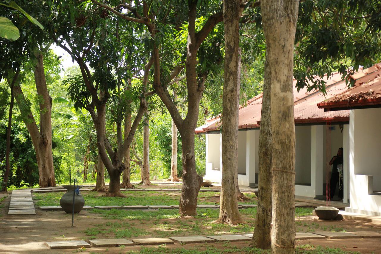 فندق Dambulu Oya Family Park دامبولا المظهر الخارجي الصورة