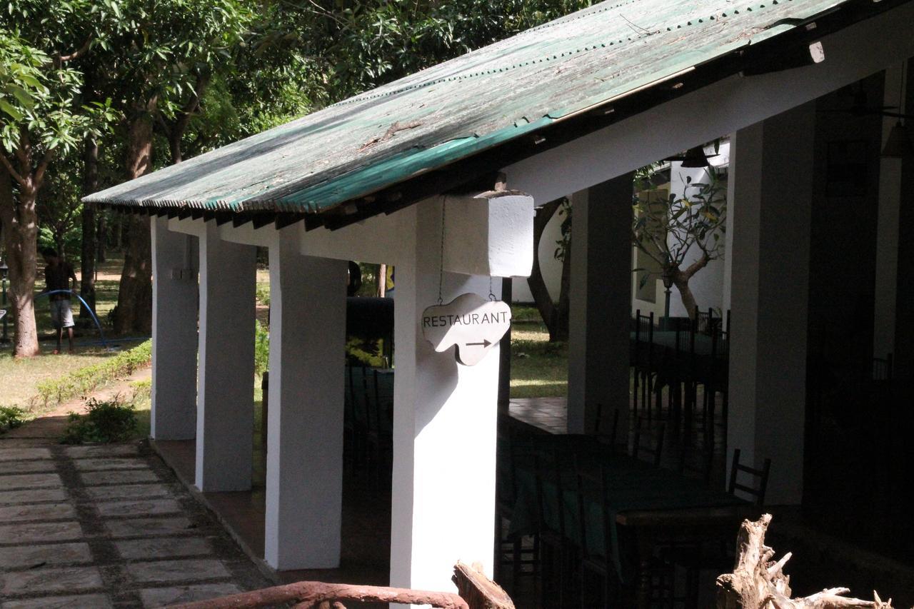 فندق Dambulu Oya Family Park دامبولا المظهر الخارجي الصورة