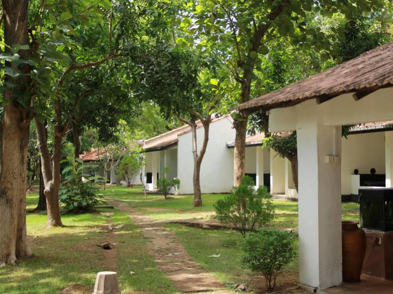 فندق Dambulu Oya Family Park دامبولا المظهر الخارجي الصورة