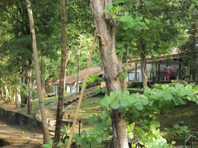 فندق Dambulu Oya Family Park دامبولا المظهر الخارجي الصورة
