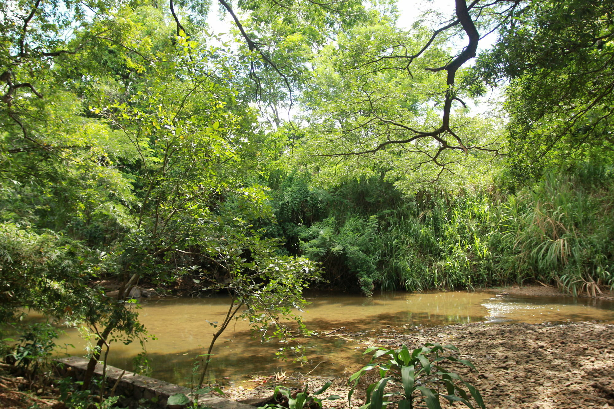 فندق Dambulu Oya Family Park دامبولا المظهر الخارجي الصورة