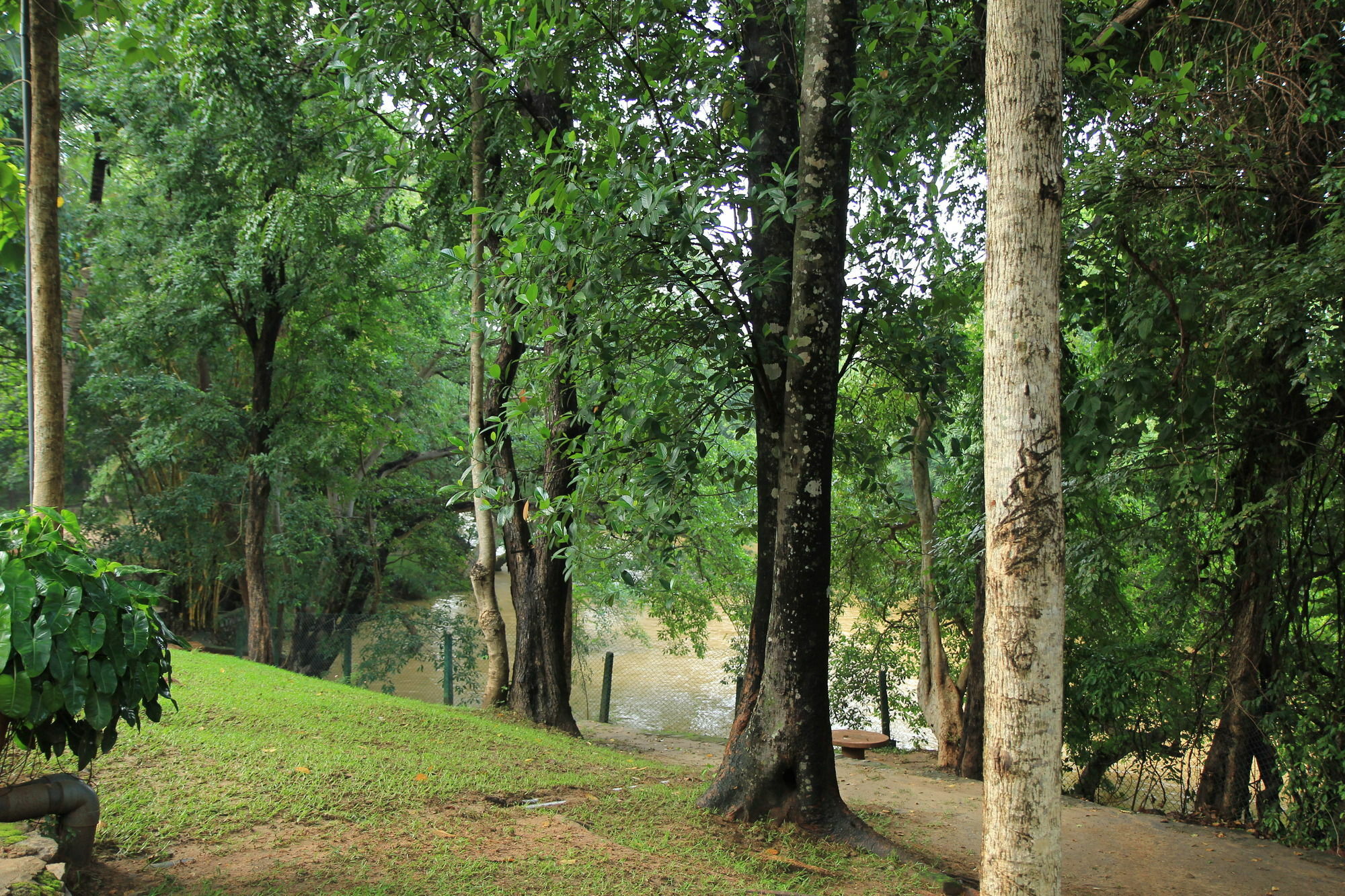 فندق Dambulu Oya Family Park دامبولا المظهر الخارجي الصورة