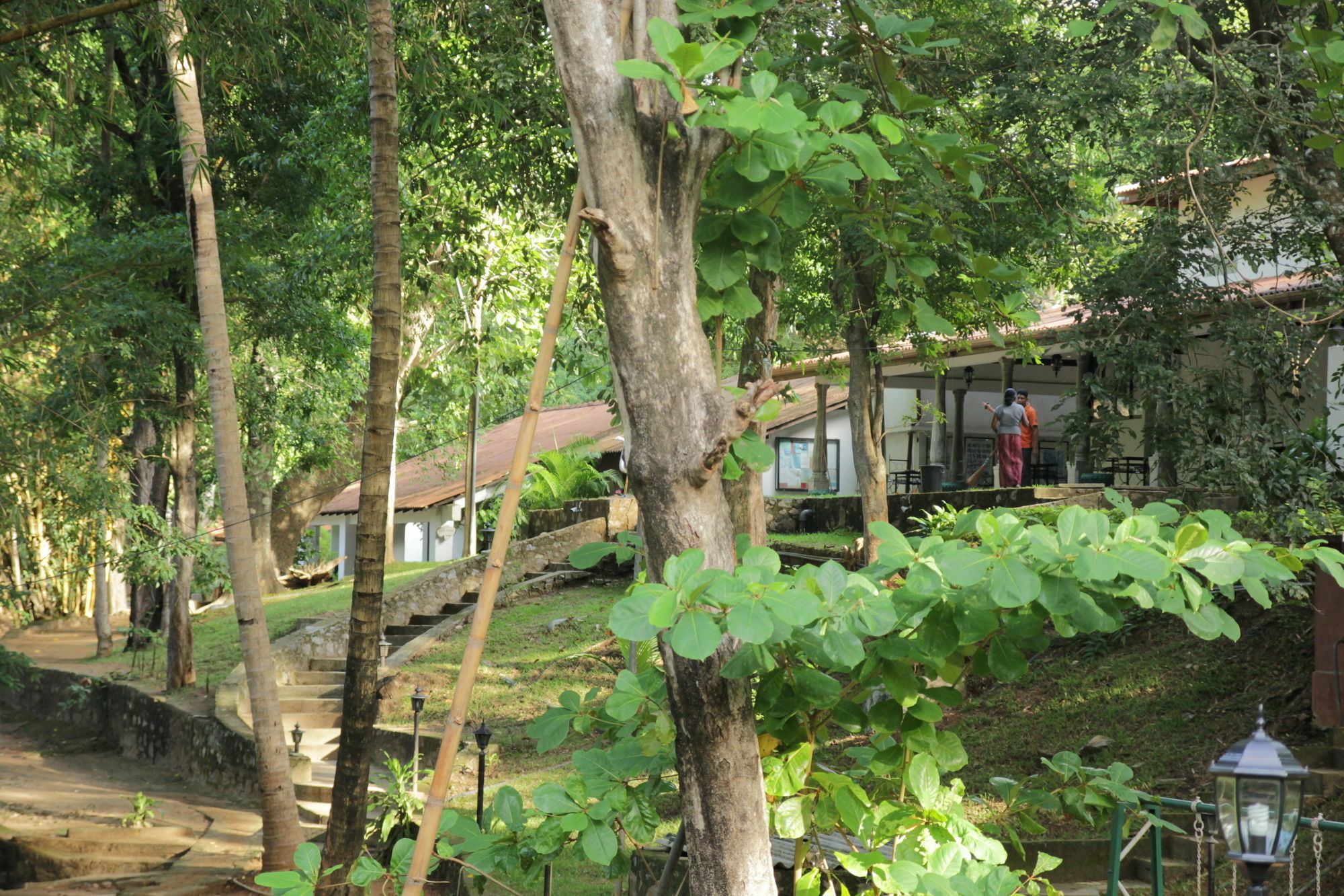 فندق Dambulu Oya Family Park دامبولا المظهر الخارجي الصورة