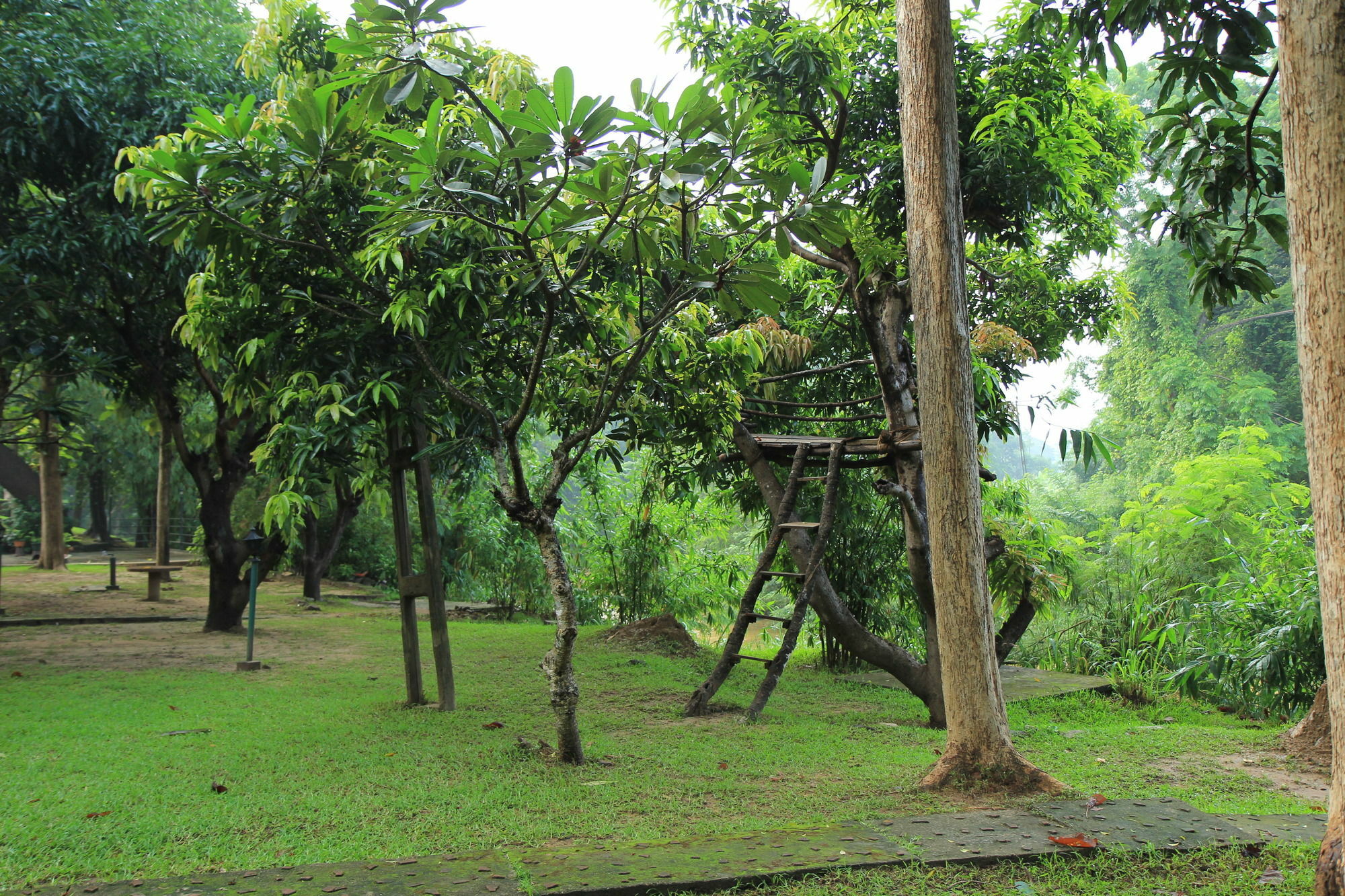 فندق Dambulu Oya Family Park دامبولا المظهر الخارجي الصورة